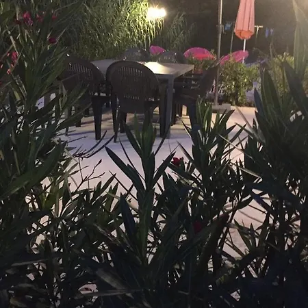 A La Verte Campagne - / Guest house Roquebrune-sur-Argens